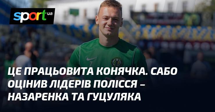 Це справжня трудяга. Сабо високо оцінив лідерів Полісся – Назаренка і Гуцуляка.